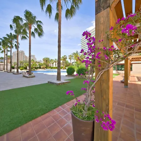 Coral Beach-6 By Interhome Appartement